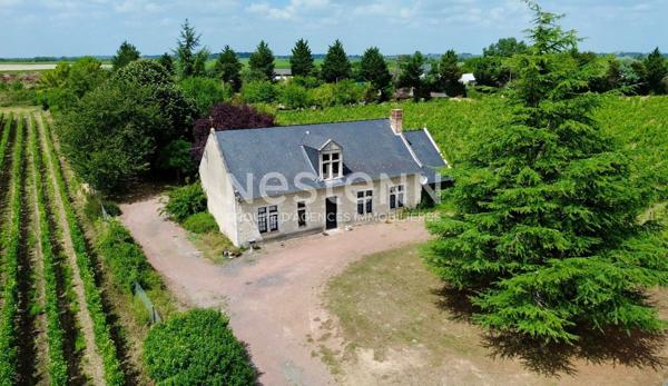 A vendre - Maison - 5 pièces - 134m² - Le Puy Notre Dame - D5995