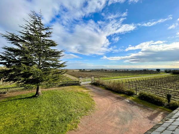 A vendre - Maison - 5 pièces - 134m² - Le Puy Notre Dame - D5995