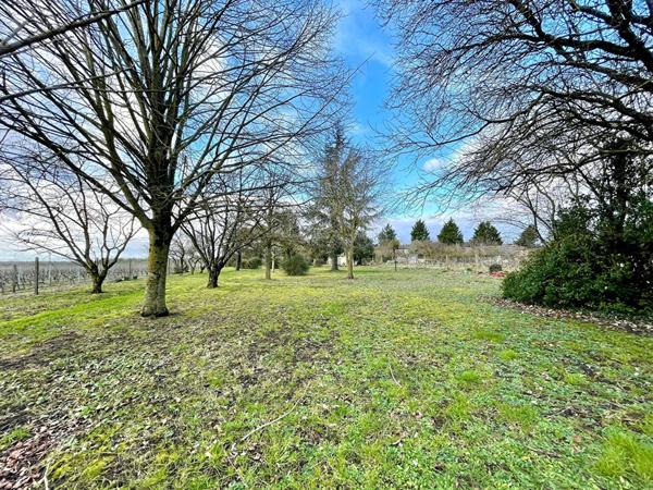 A vendre - Maison - 5 pièces - 134m² - Le Puy Notre Dame - D5995