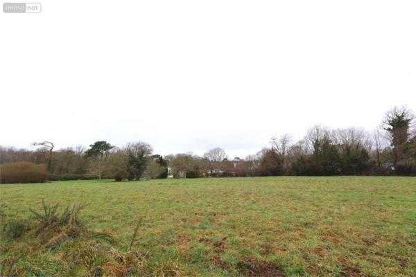 Achat - Terrain à bâtir Quimper 29000 536 m 2 536 m 2