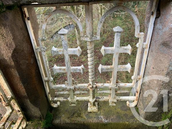 Maison à vendre  19 pièces - 505,83 m2 MOYENMOUTIER - 88