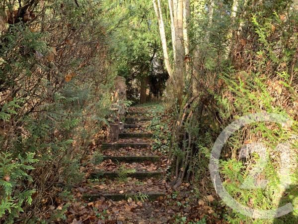 Maison à vendre  19 pièces - 505,83 m2 MOYENMOUTIER - 88