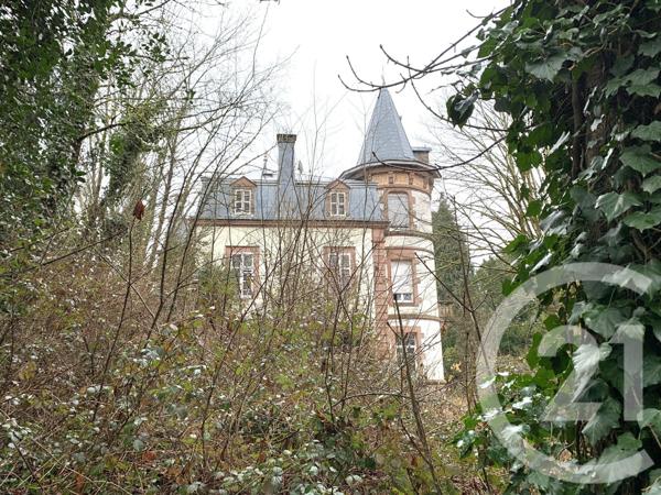 Maison à vendre  19 pièces - 505,83 m2 MOYENMOUTIER - 88