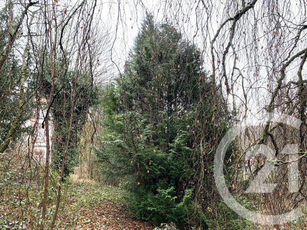 Maison à vendre  19 pièces - 505,83 m2 MOYENMOUTIER - 88