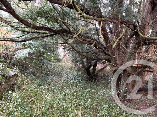 Maison à vendre  19 pièces - 505,83 m2 MOYENMOUTIER - 88