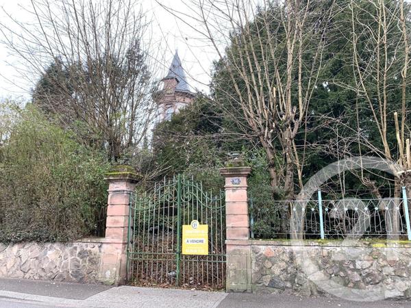 Maison à vendre  19 pièces - 505,83 m2 MOYENMOUTIER - 88