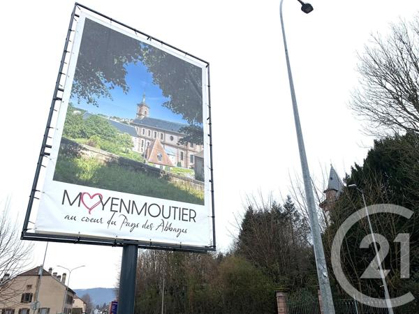 Maison à vendre  19 pièces - 505,83 m2 MOYENMOUTIER - 88