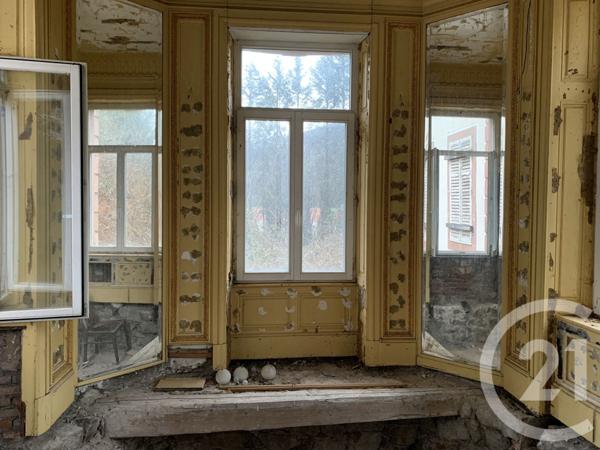 Maison à vendre  19 pièces - 505,83 m2 MOYENMOUTIER - 88