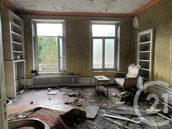 Maison à vendre  19 pièces - 505,83 m2 MOYENMOUTIER - 88