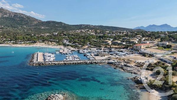Appartement T2 à vendre  2 pièces - 21,22 m 2   CALVI  - 202