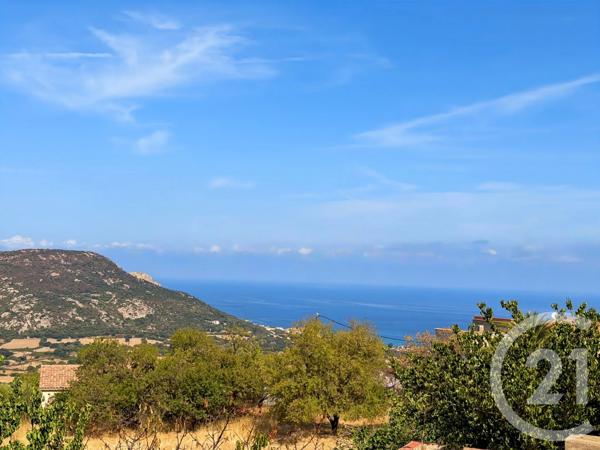 Maison à vendre  3 pièces - 85 m 2   AREGNO  - 202