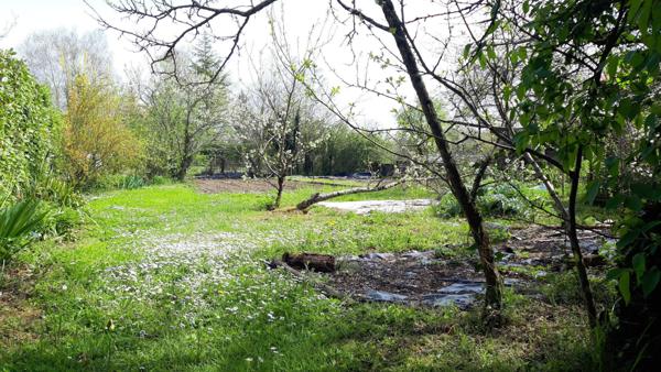 MAISON SUR SOUS SOL - THURE