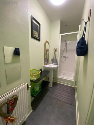 Appartement à vendre à Reims dans la Marne (51100), ref : 51067-163   
Centre et Grand Centre