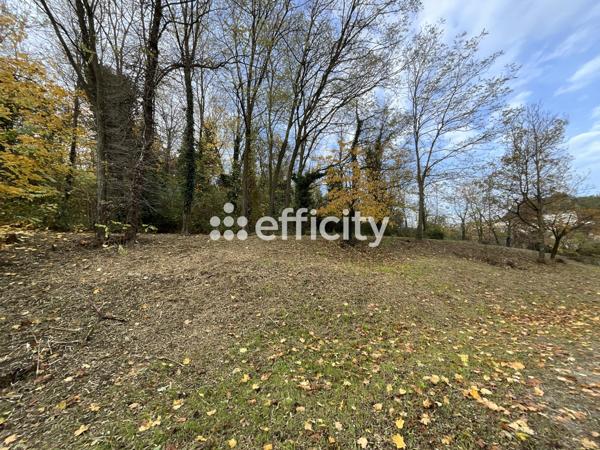 Maison 5 pièces - 160 m²