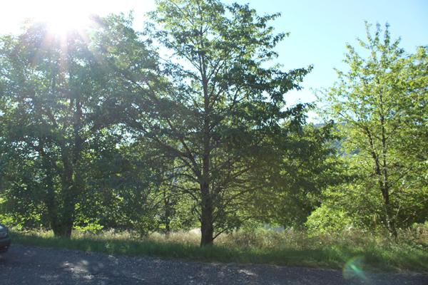 Achat terrain Romagnat - 1633 m² - 310 000 €