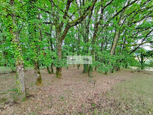 Castelnau-Montratier – Maison contemporaine, 4 chambres, piscine, terrain paysager