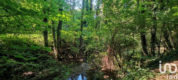 Maison à vendre 10 pièces 348 m² Festigny