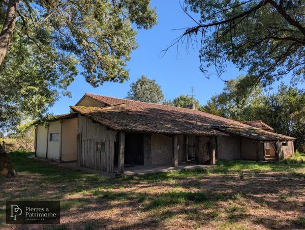 Maison en pierre sur 5 600 m² de terrain entre Mézin et Nérac