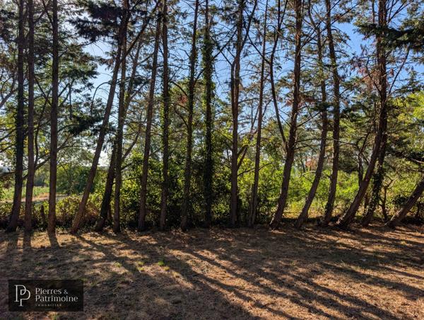 Maison en pierre sur 5 600 m² de terrain entre Mézin et Nérac