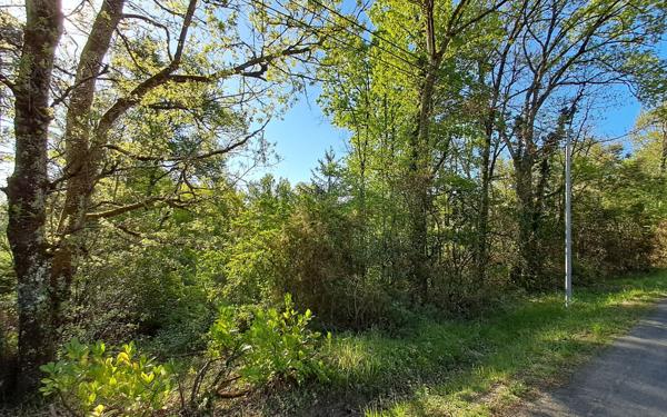 Terrain à vendre    Ginestet