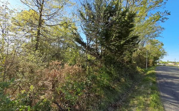 Terrain à vendre    Ginestet