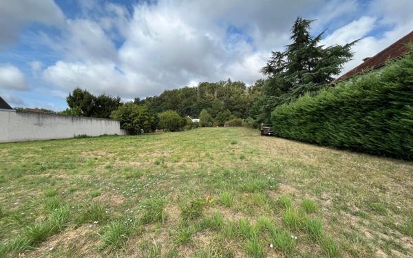 Terrain à vendre    Saint-Pantaléon-de-Larche