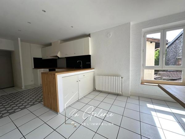 DUPLEX AU COEUR DE GRENOBLE