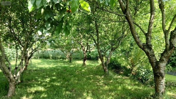 Maison à vendre à Carentoir dans le Morbihan (56910), ref : 009/1265