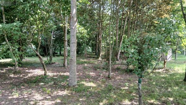 Maison à vendre à Carentoir dans le Morbihan (56910), ref : 009/1265