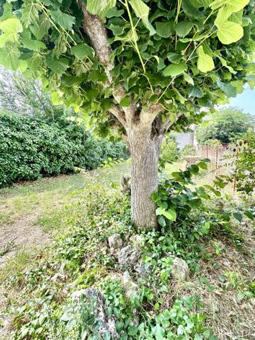 Carcassonne maison de ville secteur prisé
