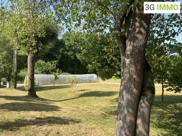 Vente / Maison et grand terrain