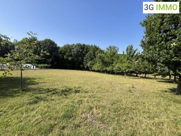 Vente / Maison et grand terrain