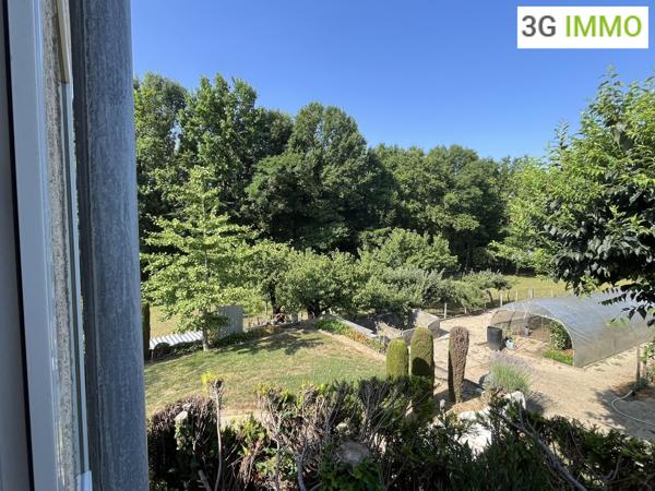 Vente / Maison et grand terrain