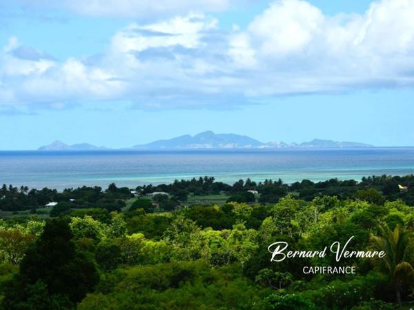 Marie-Galante - Antilles - Propriété d'exception - 8 pièces - 3 suites - 196m² - Vue mer