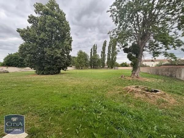 Location maison 4 pièces de 266.99m²