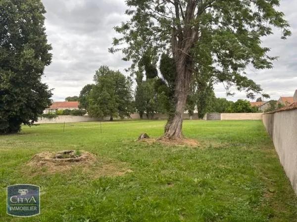 Location maison 4 pièces de 266.99m²