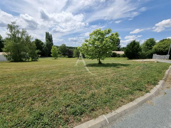 Terrain commune ECOYEUX