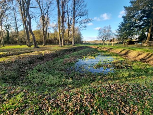 Maison 2 chambres, terrain et bois