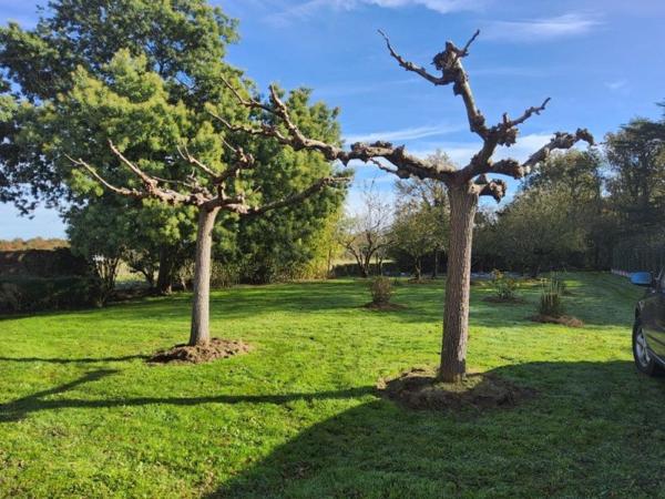 Vente / Maison à Sallertaine (85300)