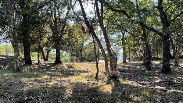 Magnifique terrain constructible avec une vue dégagée sur la plaine et la mer
