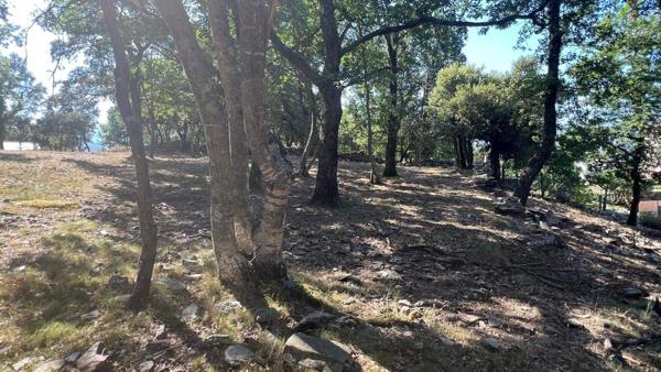 Magnifique terrain constructible avec une vue dégagée sur la plaine et la mer