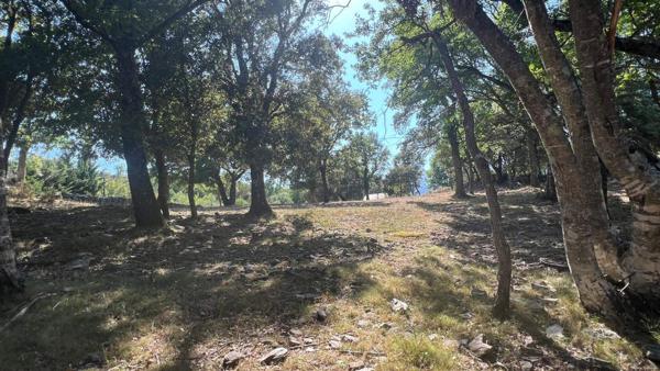 Magnifique terrain constructible avec une vue dégagée sur la plaine et la mer