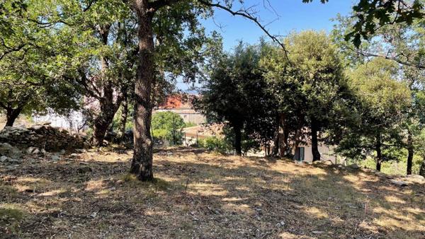 Magnifique terrain constructible avec une vue dégagée sur la plaine et la mer