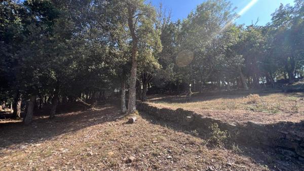 Magnifique terrain constructible avec une vue dégagée sur la plaine et la mer