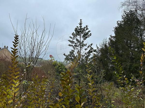 Terrain  en vente - Moselle - 57