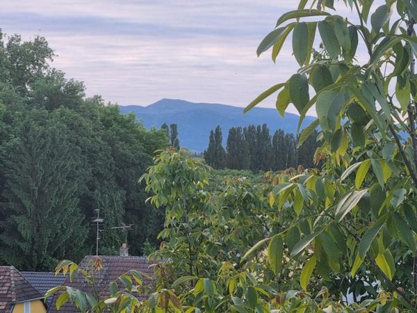 Vente / Maison T6+