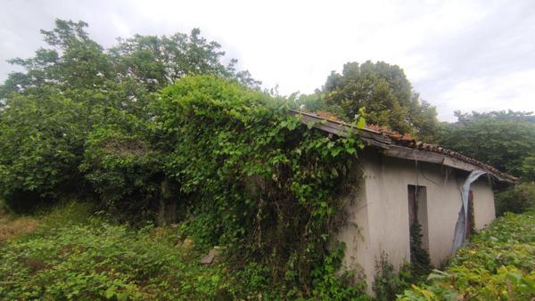 Grange à restaurer d'environ 80m² à transformer en habitation