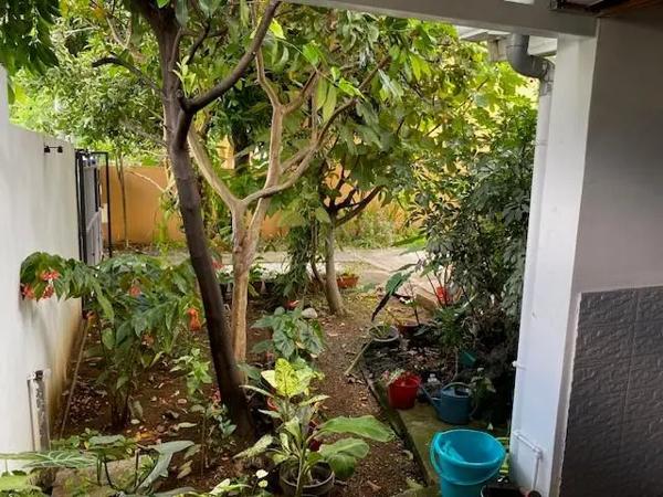 Maison à vendre 4 pièces 96m² Saint-Pierre (97432)