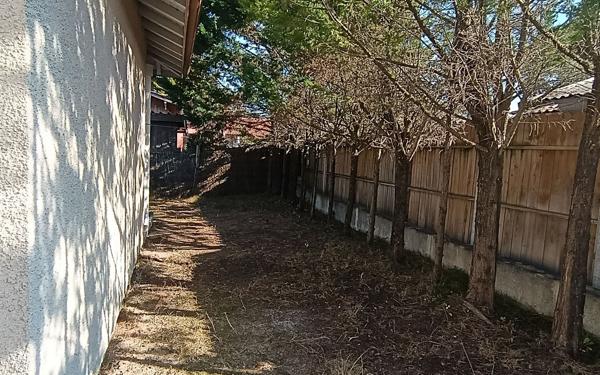 Maison à vendre    3 pièces •  Biscarrosse