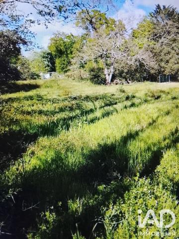 Terrain à vendre 1 250 m² Saint-Hilaire-de-Riez